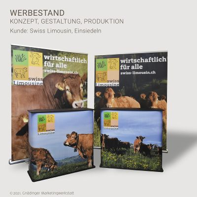 gnaedinger-marketingwerkstatt-sins-werbung-die-wirkt-praesentationstechnik